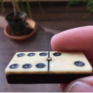 Antique Bone Ebony Dominos 19 Pieces